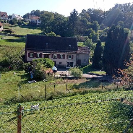 Bed and Breakfast My Zen Thal Meisenthal Zewnętrze zdjęcie