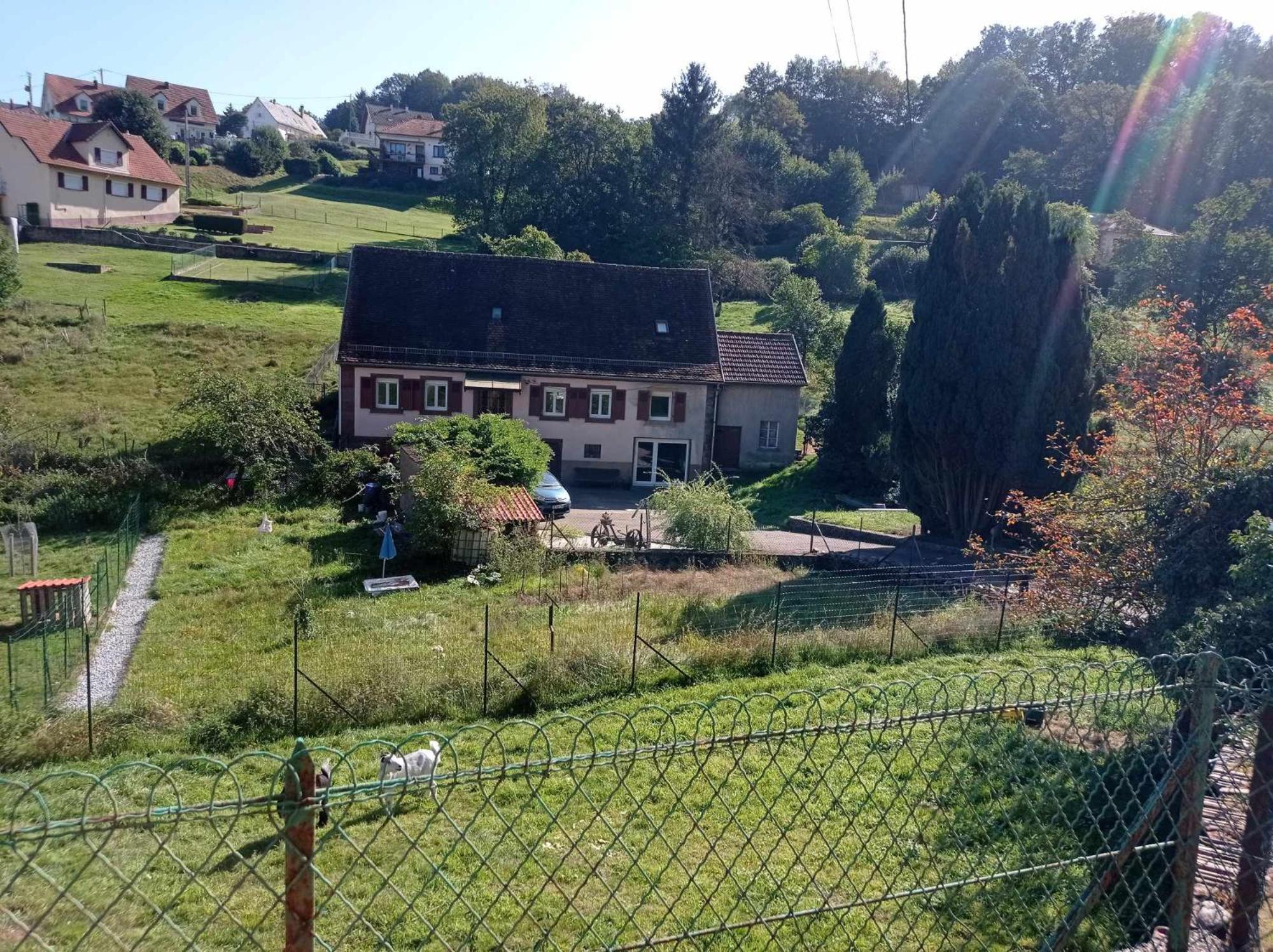 Bed and Breakfast My Zen Thal Meisenthal Zewnętrze zdjęcie